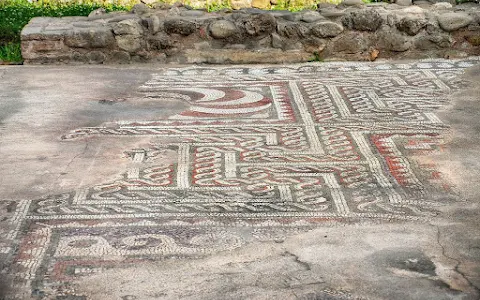 Mosaic of Tirana image