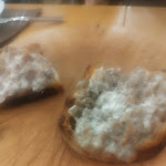 Photo n°3 de l'avis de Cecilia. fait le 31/03/2024 à 11:35 sur le  La Romanesca Osteria Moderna à Rome