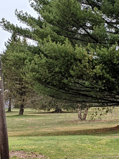 Public Golf Course «White Birch Golf Course», reviews and photos, 660 Tuscarora Park Rd, Barnesville, PA 18214, USA