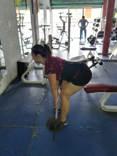 Sport Gym Alicia