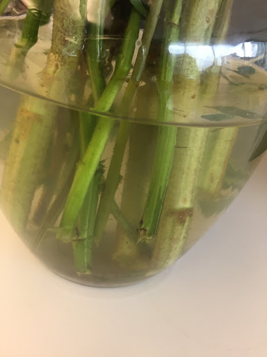 Florist «Jazmin Flowers & Balloons», reviews and photos, 1414 W 18th St, Chicago, IL 60608, USA