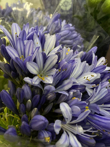 Florist «Sequoia Floral International», reviews and photos, 3245 Santa Rosa Ave, Santa Rosa, CA 95407, USA