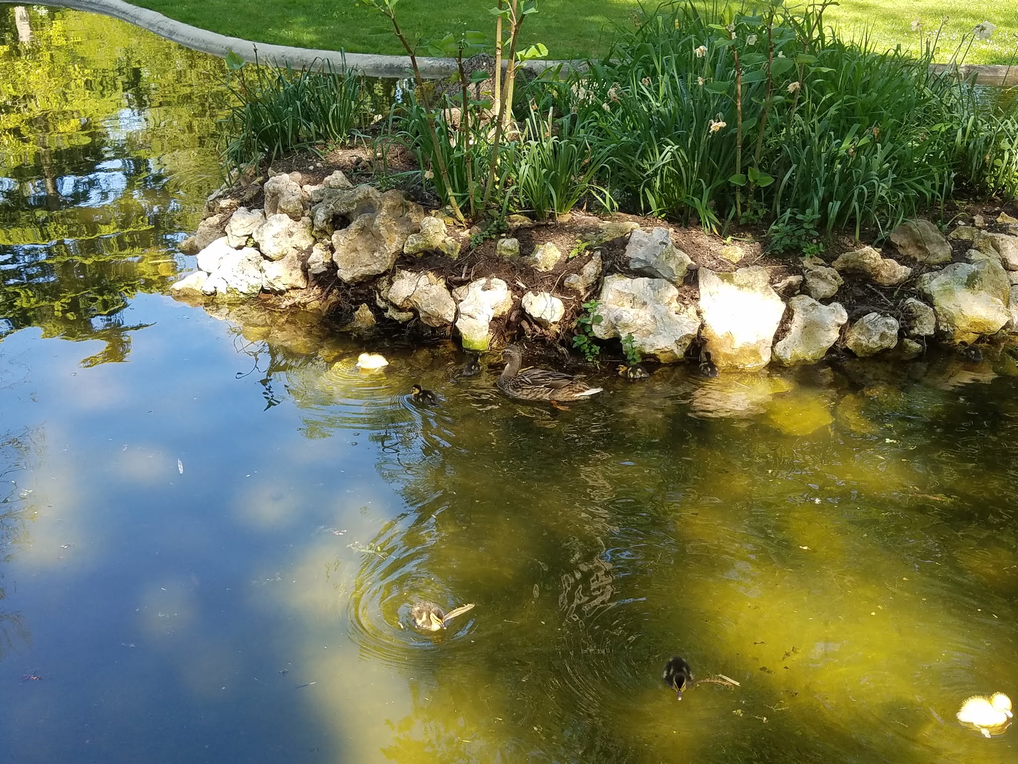 Photo n° 1 de l'avis de Elo.i fait le 14/09/2019 à 15:15