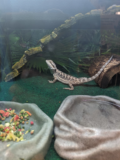 Pet Supply Store «PetSmart», reviews and photos, 215 Needham St, Newton, MA 02464, USA