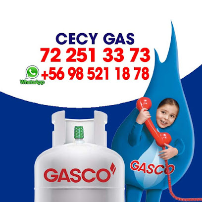 Cecy Gas Gasco