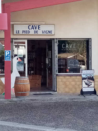 Cave le Pied de Vigne à Lacanau