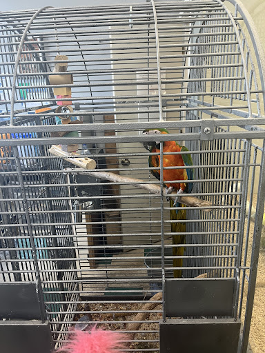 Pet Store «Sierra Fish and Pets», reviews and photos, 601 S Grady Way Suite M, Renton, WA 98057, USA