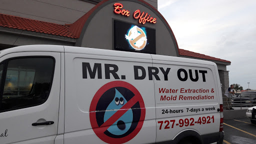 Auto Repair Shop «Euro Mechanik LLC», reviews and photos, 9747 US-19 b, Port Richey, FL 34668, USA