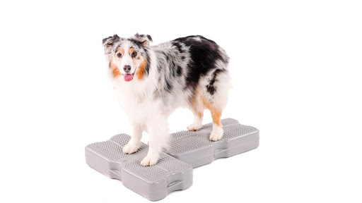 Pet Supply Store «J & J Dog Supplies», reviews and photos, 975 Ford St, Colorado Springs, CO 80915, USA