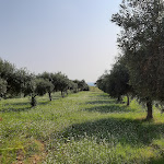 Photo n°11 de l'avis de Giovi-56. fait le 21/06/2023 à 17:27 sur le  Hotel Donna Carmela Sede Unica a Sciacca à Sciacca