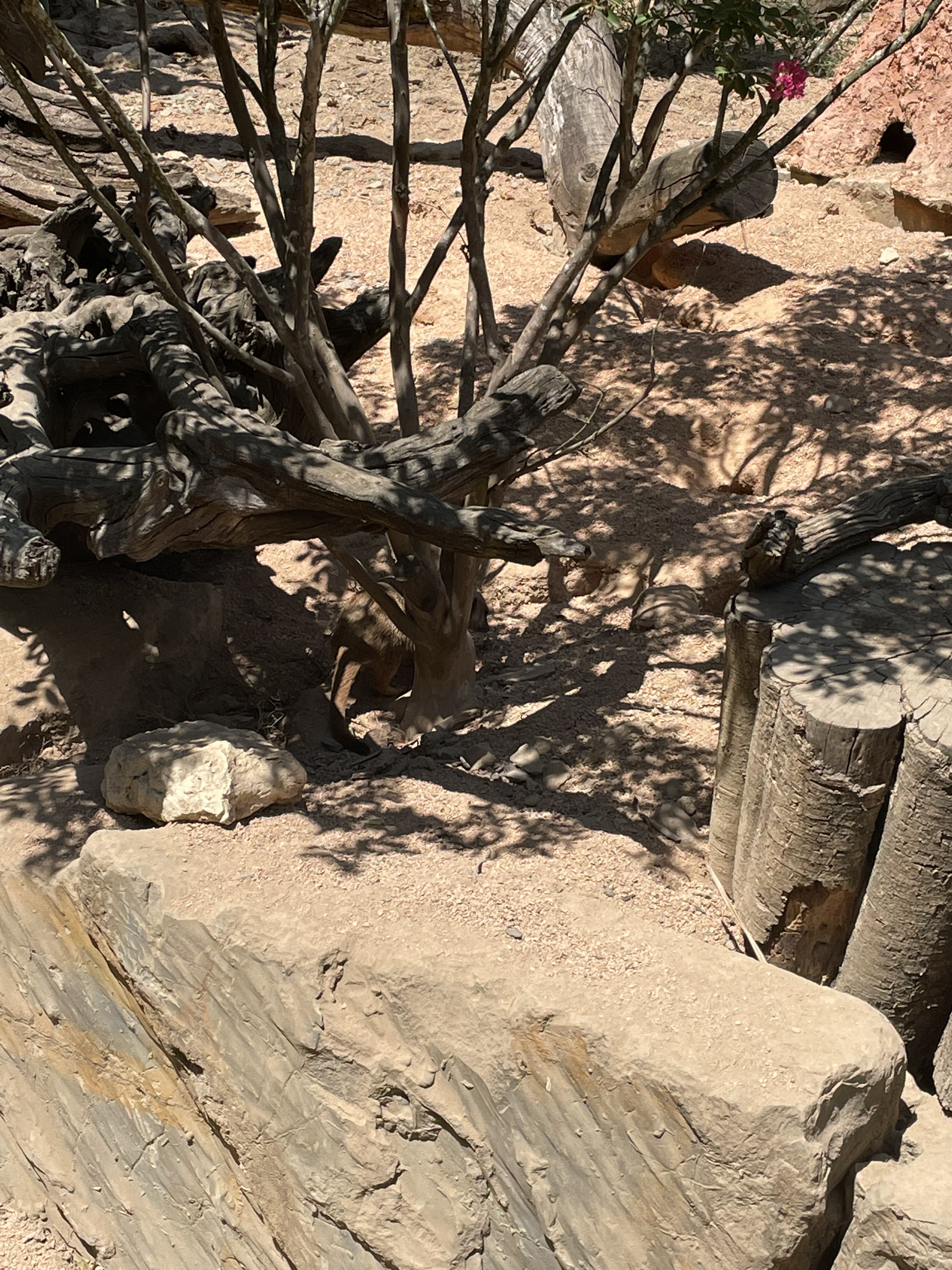 Photo n° 26 de l'avis de Gregory.G fait le 01/08/2022 à 10:31