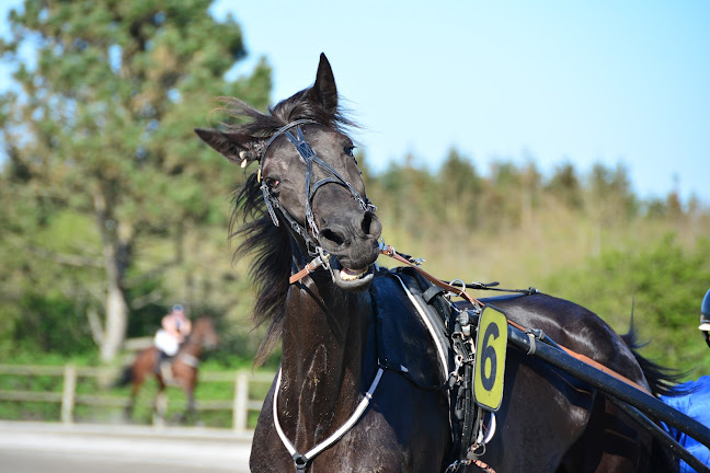 Flyvej 2, 7800 Skive, Danmark