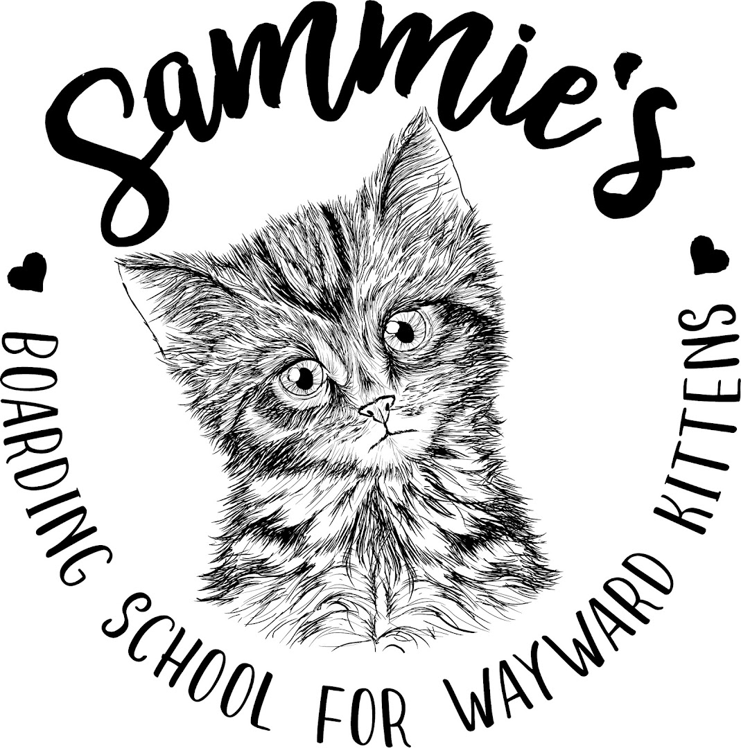 Sammie's Boarding School For Wayward Kittens