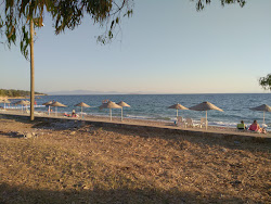 Lalekent Beach'in fotoğrafı geniş bir kıyı şeridi ile birlikte