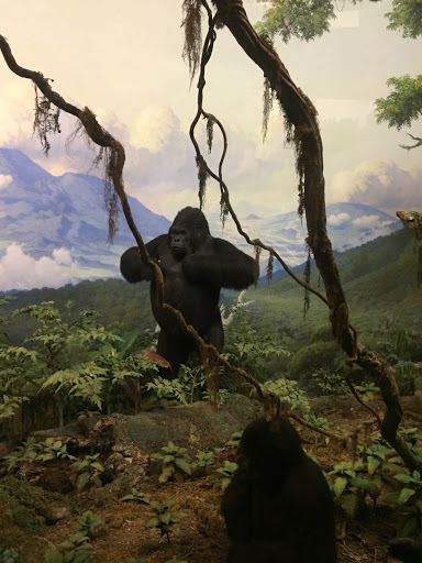 Museum «Museum of the City of New York», reviews and photos, 1220 5th Ave & 103rd St, New York, NY 10029, USA