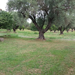 Photo n°7 de l'avis de Daniela.s fait le 25/08/2018 à 20:11 sur le  Villaggio Triton - Aurum Hotels à Sellia Marina