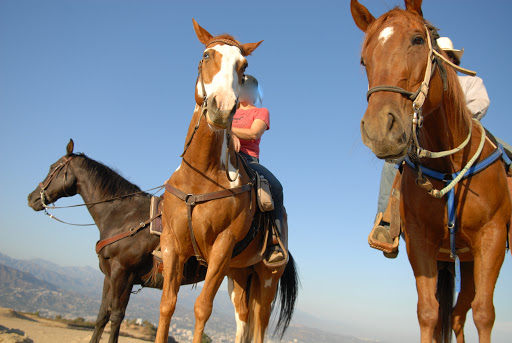 Horse riding courses Los Angeles