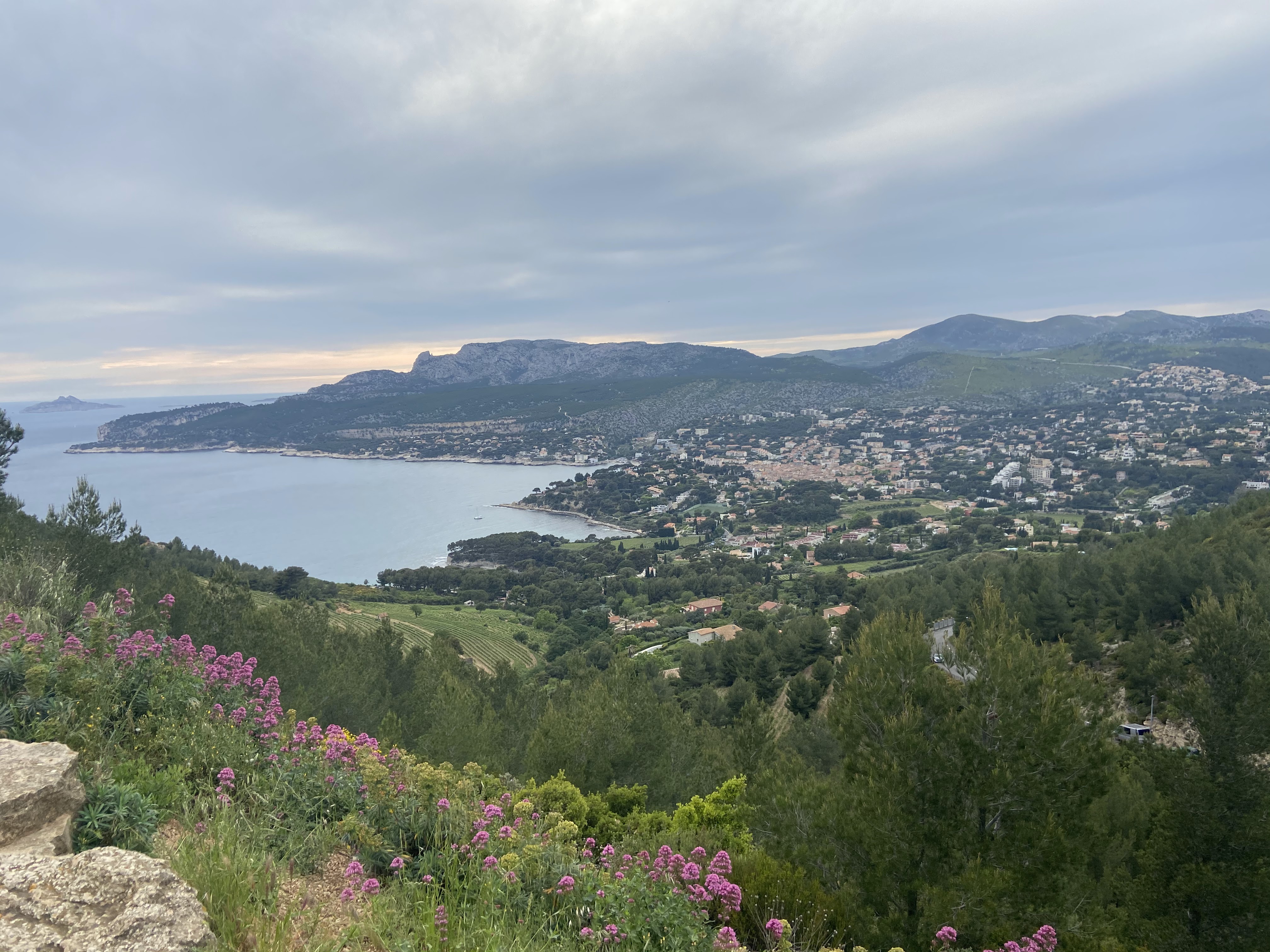 Photo n° 2 de l'avis de Pierre-Alexandre.d fait le 22/05/2021 à 17:52