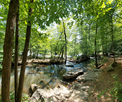Government Office «Sweetwater Creek State Park», reviews and photos, 1750 Mt Vernon Rd, Lithia Springs, GA 30122, USA
