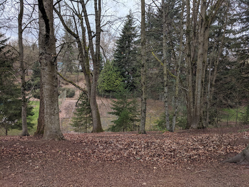 Park «Creston Park», reviews and photos, SE 44th Ave & Powell Blvd, Portland, OR 97206, USA