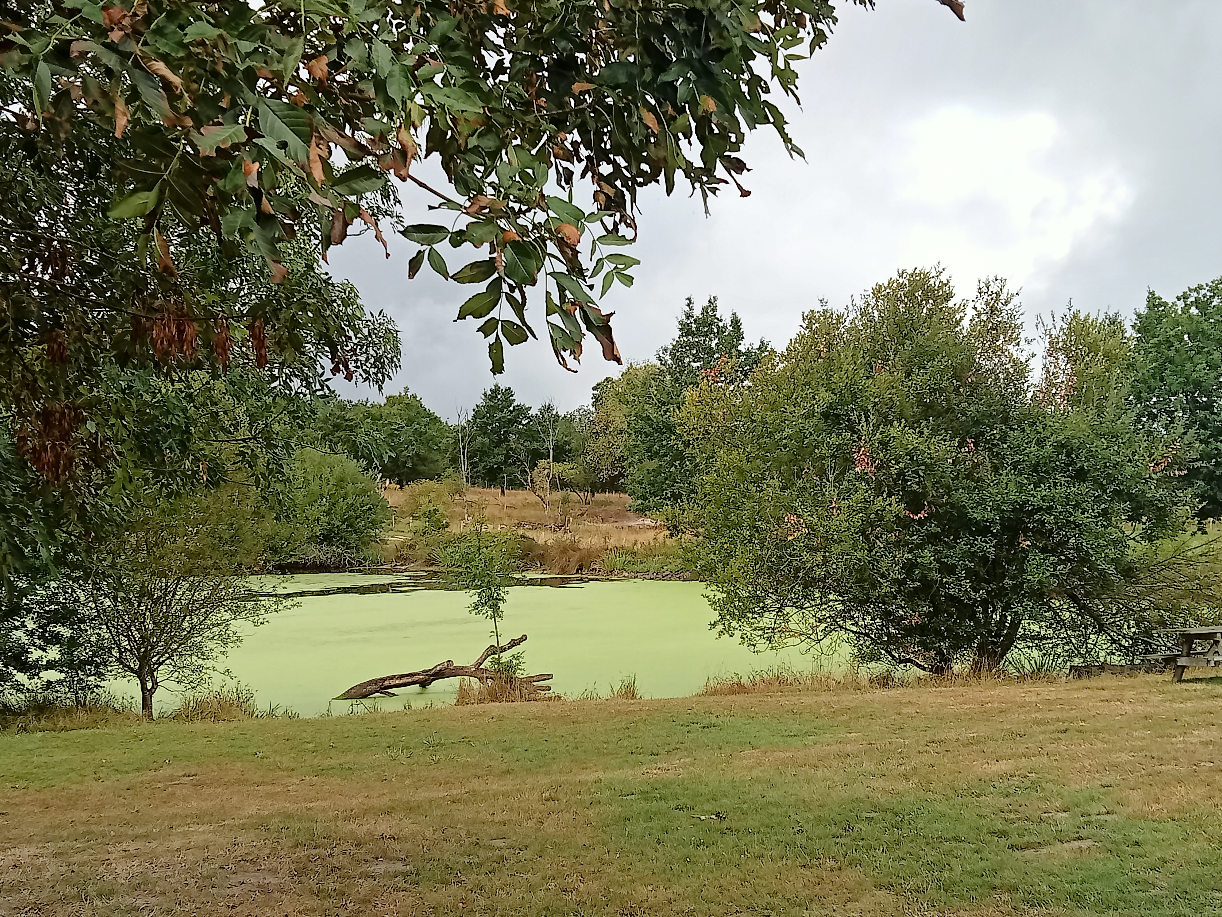 Photo n° 4 de l'avis de Marlène.a fait le 22/09/2023 à 22:10