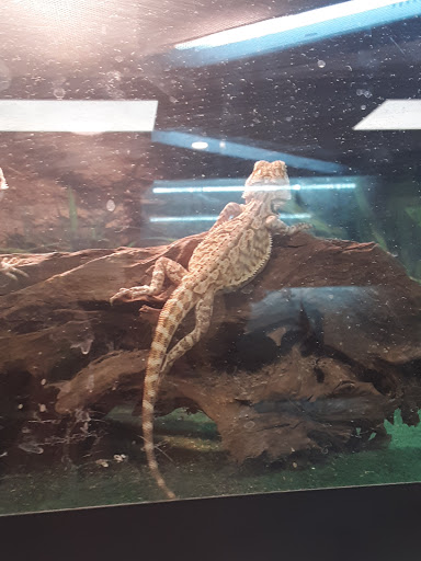 Pet Supply Store «Buckles Feed Depot & Pet Supply», reviews and photos, 220 S 4th St, Lafayette, IN 47901, USA