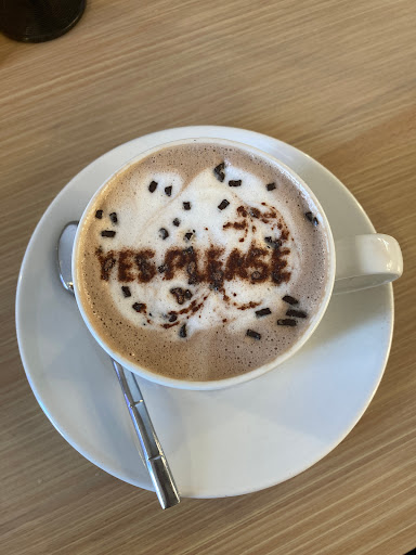 YES PLEASE image