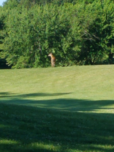 Public Golf Course «Orono Public Golf Course», reviews and photos, 265 Orono Orchard Rd S, Wayzata, MN 55391, USA