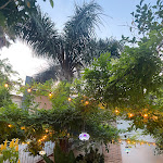 Photo n°3 de l'avis de possder.o fait le 25/07/2023 à 19:12 sur le  Pizzeria Il Giardino Di Annibale Sas à Le Castella