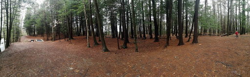 Disc Golf Course «Bellamy Park Disc Golf», reviews and photos, Bellamy Rd, Dover, NH 03820, USA