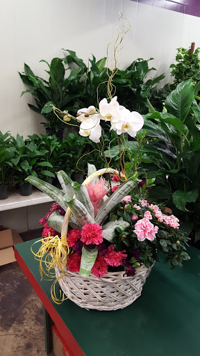 Florist «San Antonio Flower Co», reviews and photos, 7538 Broadway St, San Antonio, TX 78209, USA