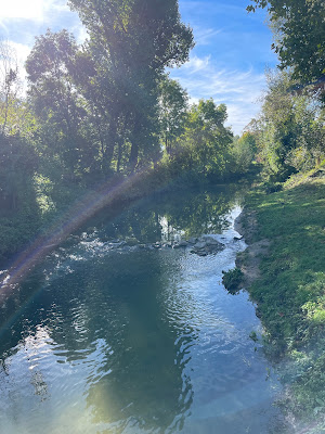 Jardin communautaire à Champigny