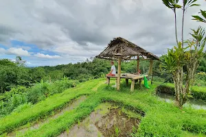 Sang Tirta Farm Living Resort image