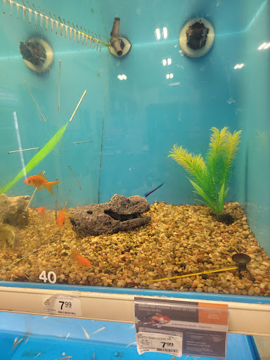 Pet Supply Store «Petco Animal Supplies», reviews and photos, 475 S Wadsworth Blvd, Lakewood, CO 80226, USA