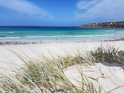 Fishery Bay Beach'in fotoğrafı çok temiz temizlik seviyesi ile