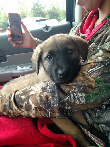 Pet Supply Store «One of the Family Pet Supply LLC», reviews and photos, 288 Lincoln Blvd, Middlesex, NJ 08846, USA