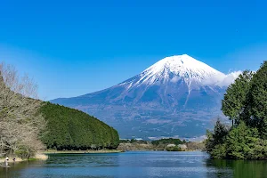 Lake Tanuki image