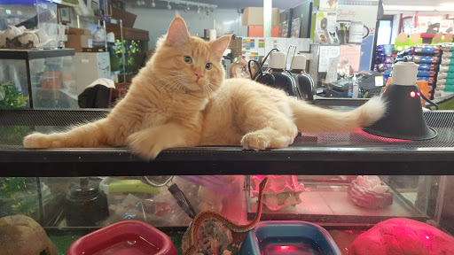 Pet Supply Store «Sunflower Natural Pet Supplies», reviews and photos, 514 Pillsbury Dr, Manhattan, KS 66502, USA