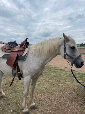 my little western pony à Fréjus