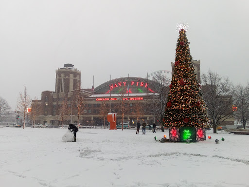 Navy Pier Terminal image 2