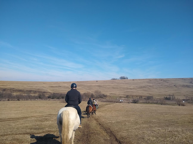 Opinii despre Călărie la Stana - Sztánai lovaglás - Horse riding in Stana în <nil> - Școală de dans