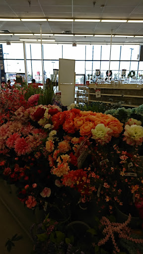 Craft Store «Michaels», reviews and photos, 17584 Colima Rd, Rowland Heights, CA 91748, USA