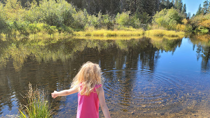 Laird Park Swimming Hole