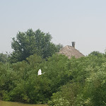 Photo n°8 de l'avis de ilaria.e fait le 27/06/2019 à 15:00 sur le  Osteria Del Pesce e non solo à Porto Viro