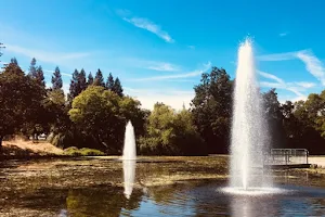 Howe Park Duck and Fishing Pond image