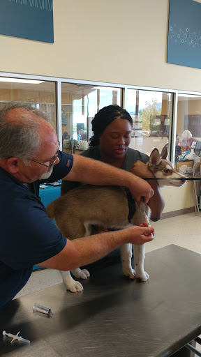 Pet Supply Store «Petco Animal Supplies», reviews and photos, 6842 S Redwood Rd, West Jordan, UT 84084, USA