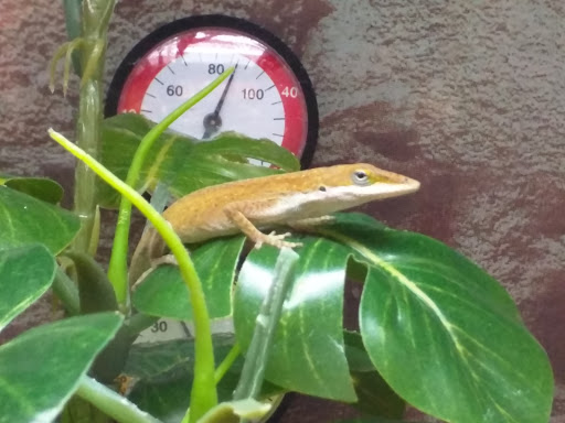 Pet Supply Store «Petco Animal Supplies», reviews and photos, 3012 Bridgepointe Pkwy, San Mateo, CA 94404, USA