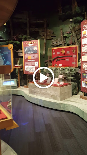 Museum «Tampa Bay History Center», reviews and photos, 801 Old Water St, Tampa, FL 33602, USA