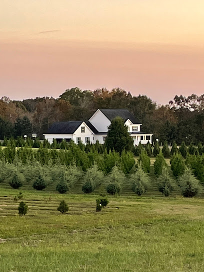 Sokoll Christmas Tree Farm