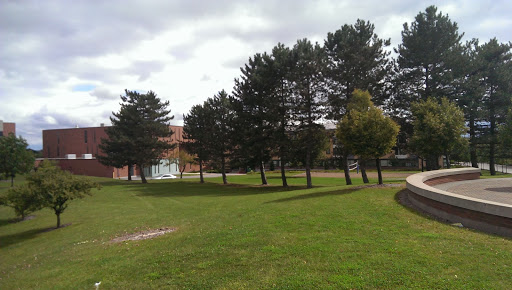 University «Rochester Institute of Technology», reviews and photos